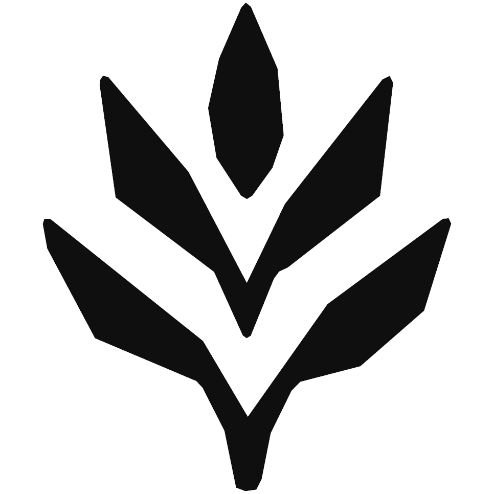 MostlyMatter Logo