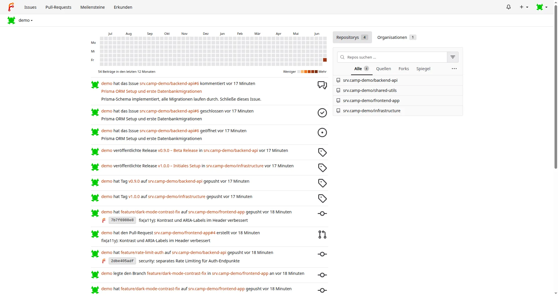 Persönliches Dashboard mit Aktivitätsverlauf, Beitragsgraph und Repository-Übersicht