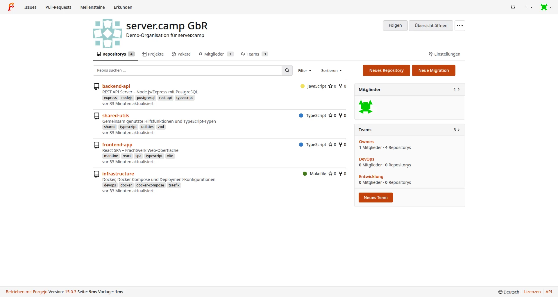 Organisations-Ansicht mit Repositories, Teams und Mitgliederverwaltung