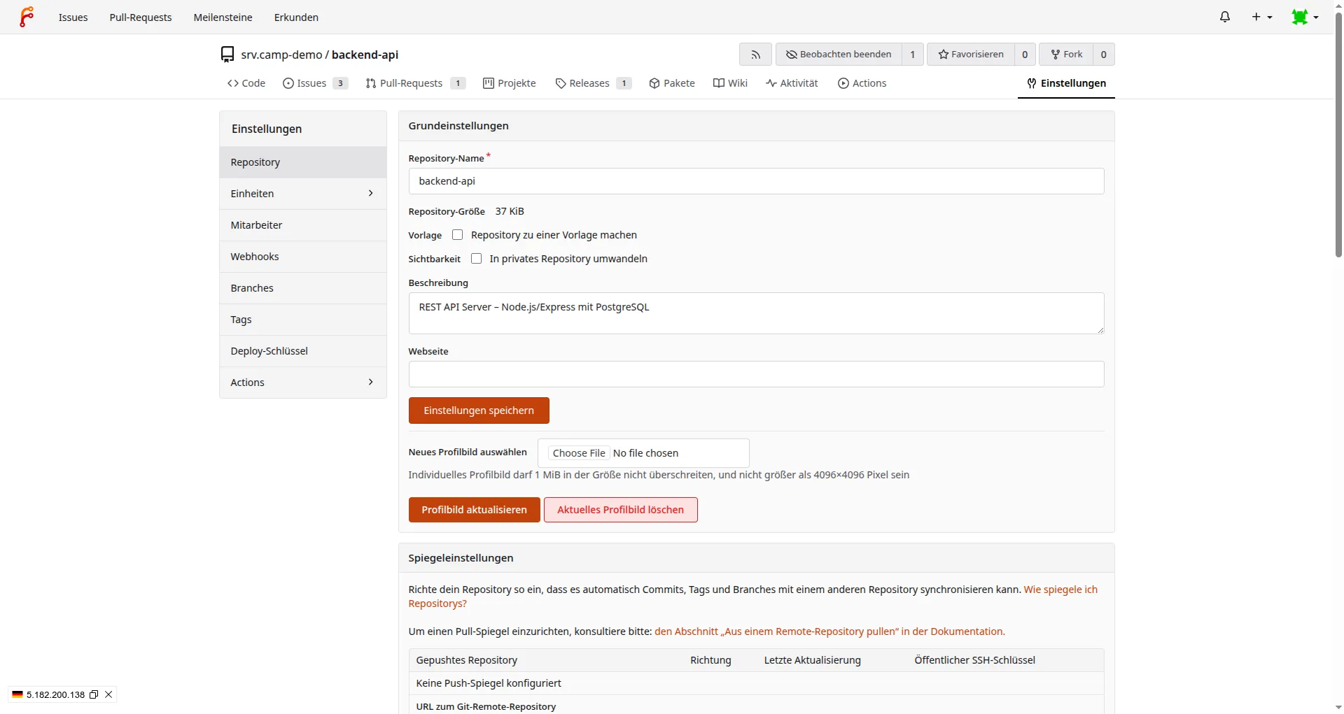 Repository-Einstellungen für Name, Sichtbarkeit, Webhooks und Branch-Schutz